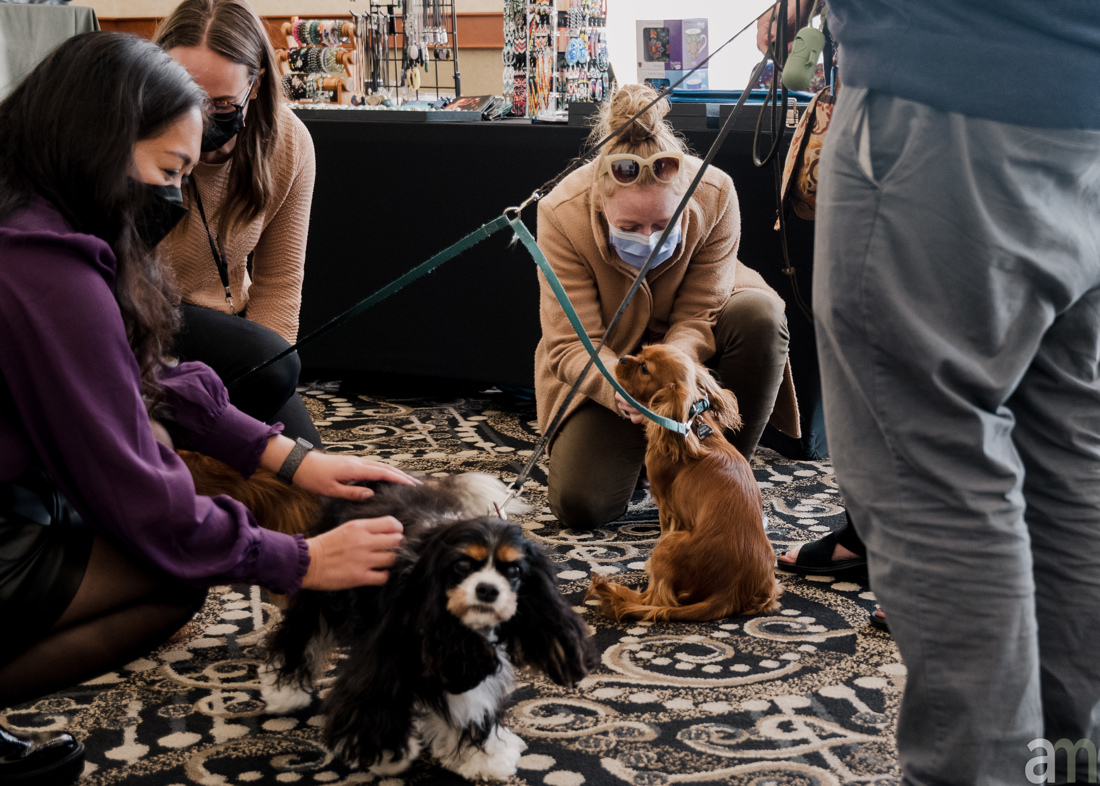 three individuals petting three therapy dogs in the Chill Room at the conference