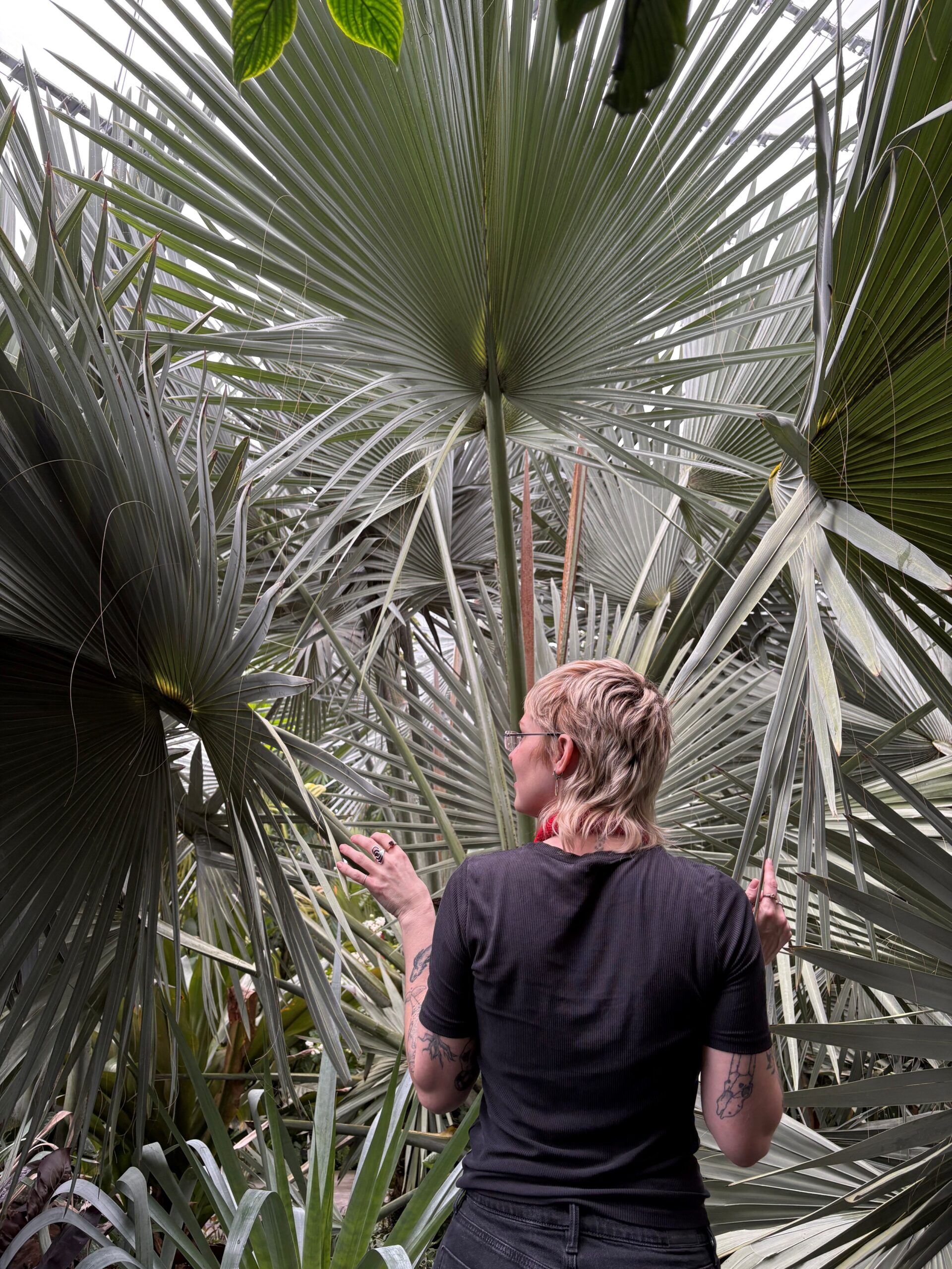 Person standing in front of greenery with their back to the camera. They are wearing a black t-shirt and black pants.